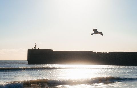The Breakwater — Hastings, East Sussex